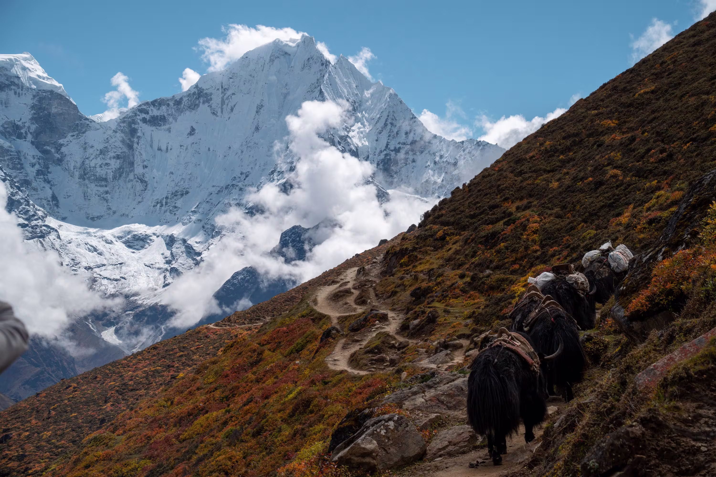 Trekkers in Himalayas
