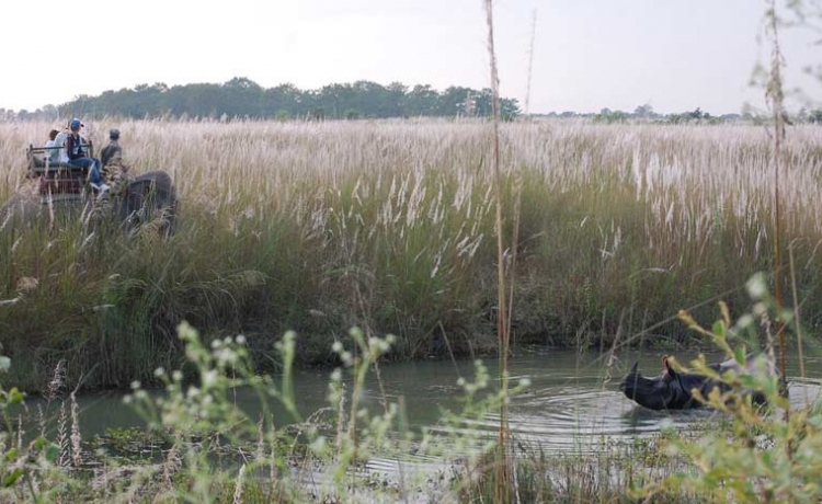 Chitwan National Park