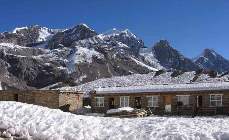 Annapurna High Camp