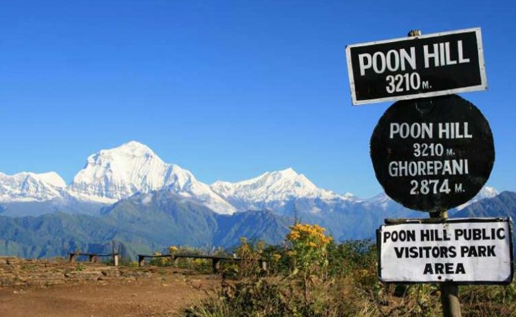 Poon Hill