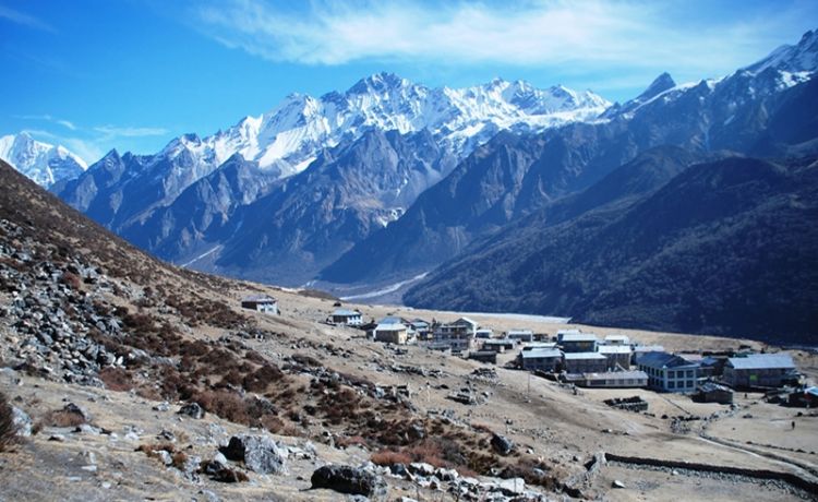 Langtang Valley Trek with Ganjala Pass