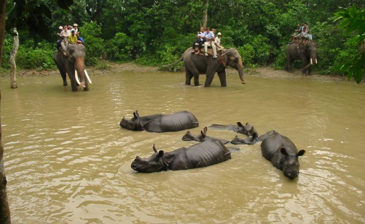 Royal Chitwan National Park