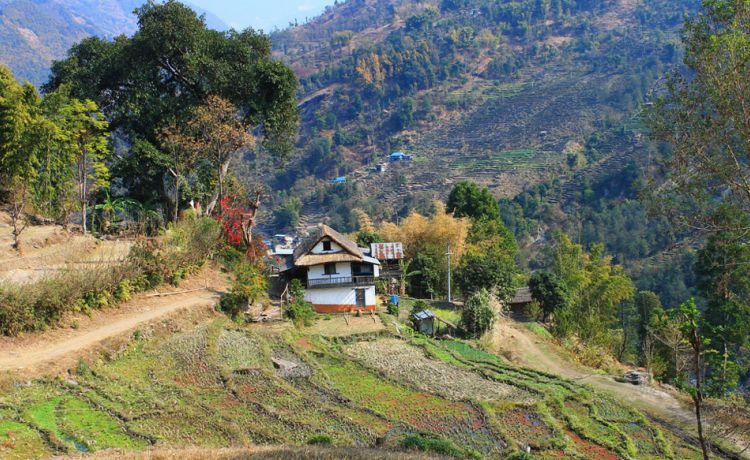 Arun Valley Trekking