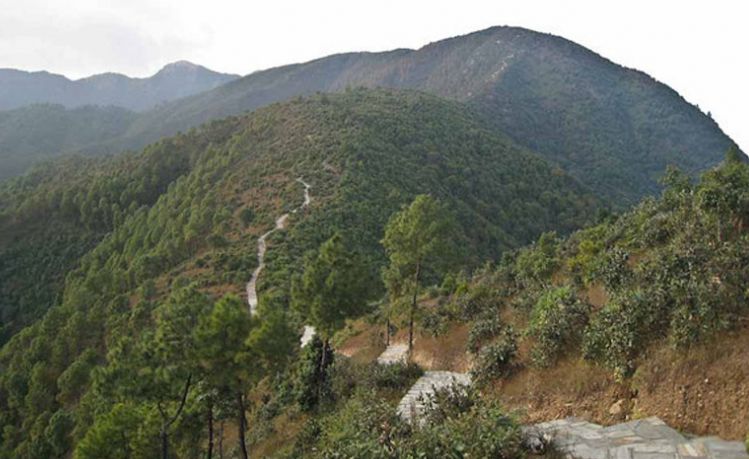 Champadevi Hiking