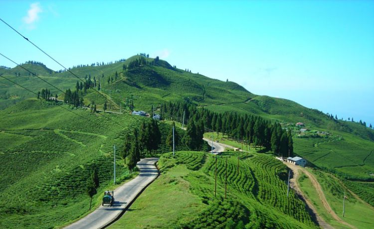 Darjeeling - Gangtok Tour