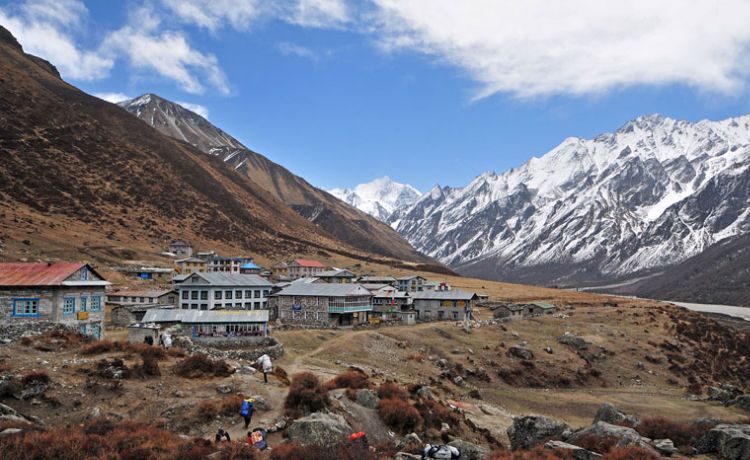 Langtang Valley Trekking