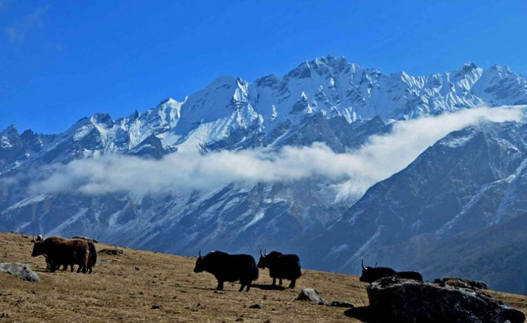 Langtang Circuit Trekking