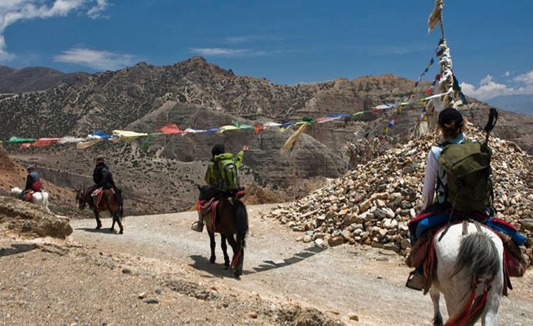 Mustang Trekking