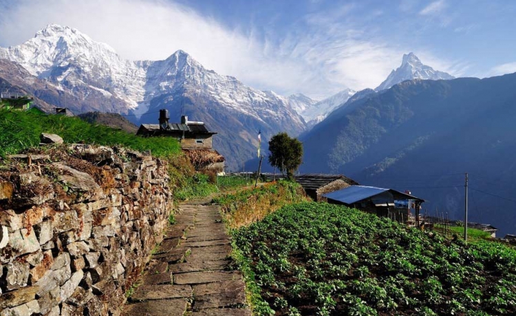 Why/How Trekking in Nepal