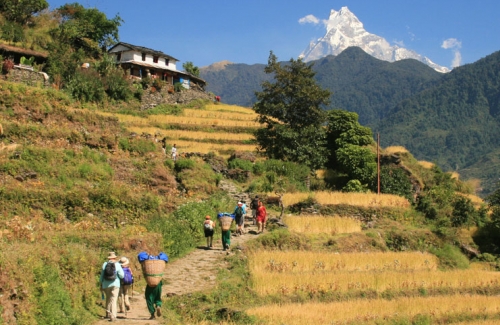 Annapurna Trekking