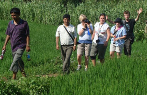 Monsoon Season Tour in Nepal