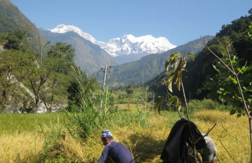 Ganesh Himal Hot Spring Trekking