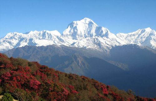 Ghorepani Hot Spring Trekking