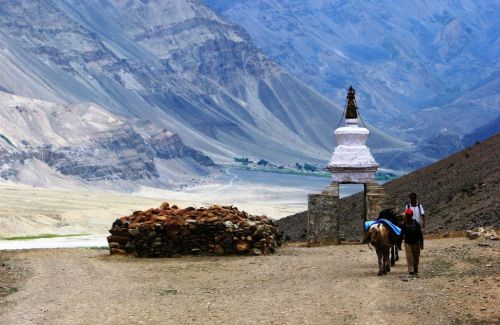 Ladakh Special Tour