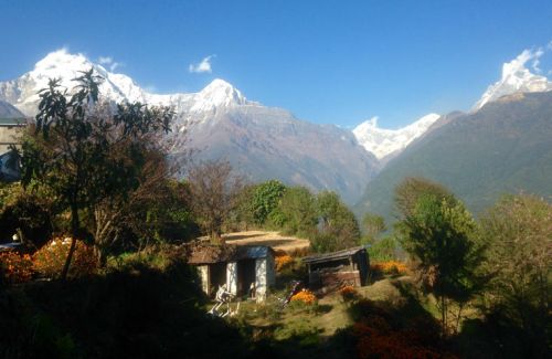 Poonhill Ghandruk Trekking